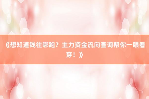 《想知道钱往哪跑？主力资金流向查询帮你一眼看穿！》