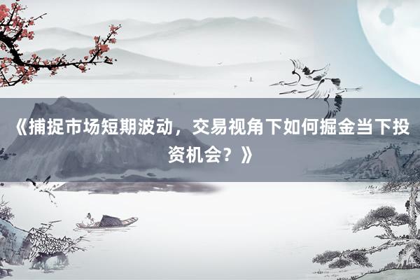 《捕捉市场短期波动，交易视角下如何掘金当下投资机会？》