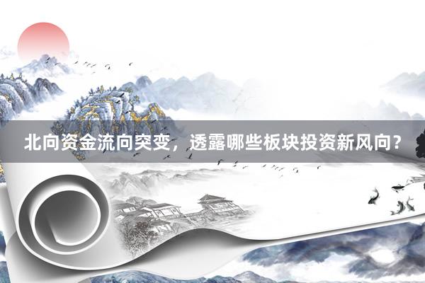 北向资金流向突变，透露哪些板块投资新风向？