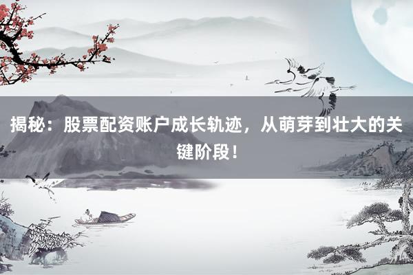 揭秘：股票配资账户成长轨迹，从萌芽到壮大的关键阶段！